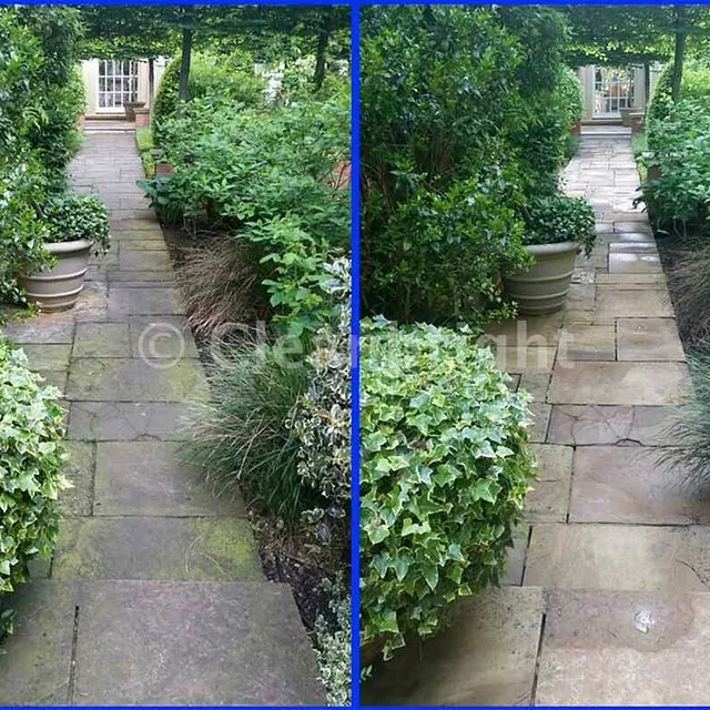 before and after stone pathway cleaning